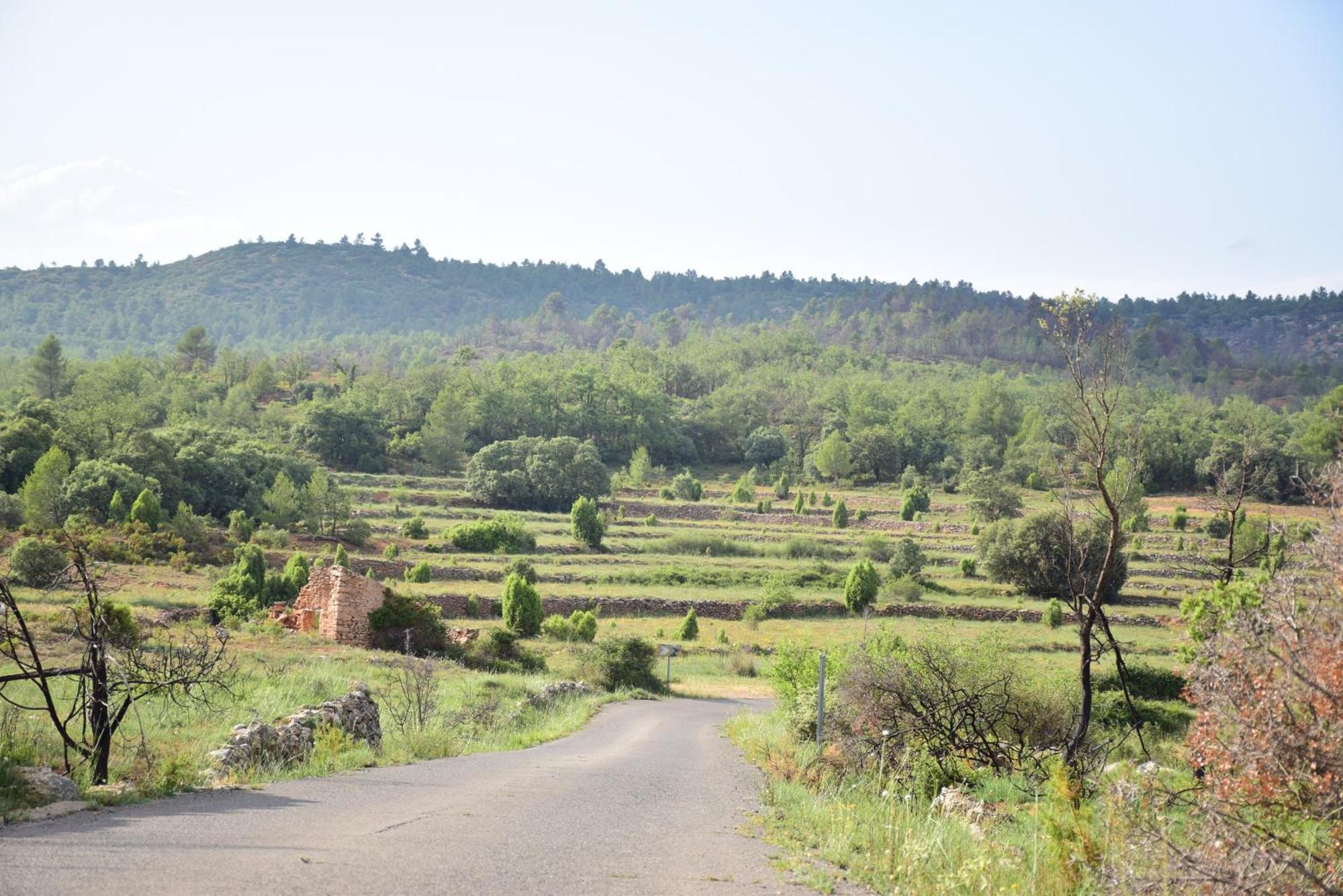 Oasis Rural Βίλα Los Pastores Εξωτερικό φωτογραφία