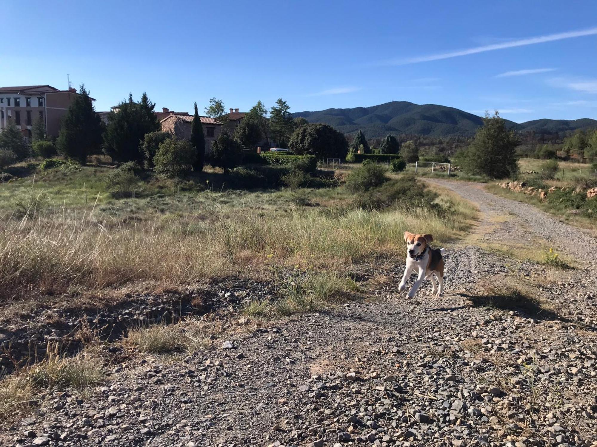 Oasis Rural Βίλα Los Pastores Εξωτερικό φωτογραφία